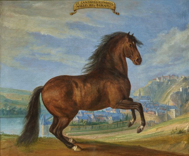 Le sans Pareil espagnol, cheval devant la ville de Dinan